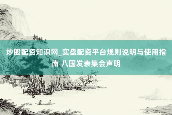 炒股配资知识网_实盘配资平台规则说明与使用指南 八国发表集会声明