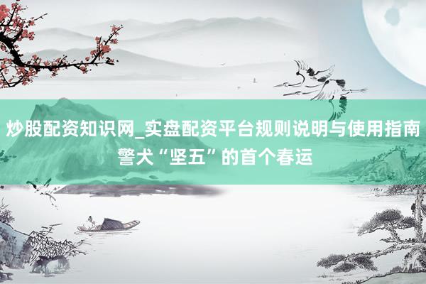 炒股配资知识网_实盘配资平台规则说明与使用指南 警犬“坚五”的首个春运