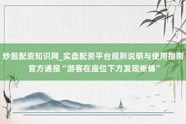 炒股配资知识网_实盘配资平台规则说明与使用指南 官方通报“游客在座位下方发现蜥蜴”