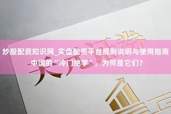 炒股配资知识网_实盘配资平台规则说明与使用指南 中国的“冷门绝学”，为何是它们？