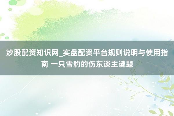 炒股配资知识网_实盘配资平台规则说明与使用指南 一只雪豹的伤东谈主谜题