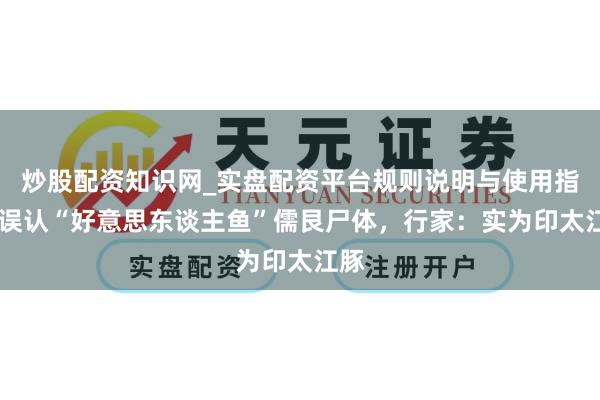 炒股配资知识网_实盘配资平台规则说明与使用指南 误认“好意思东谈主鱼”儒艮尸体，行家：实为印太江豚