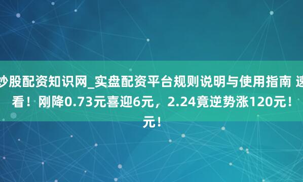 炒股配资知识网_实盘配资平台规则说明与使用指南 速看！刚降0.73元喜迎6元，2.24竟逆势涨120元！