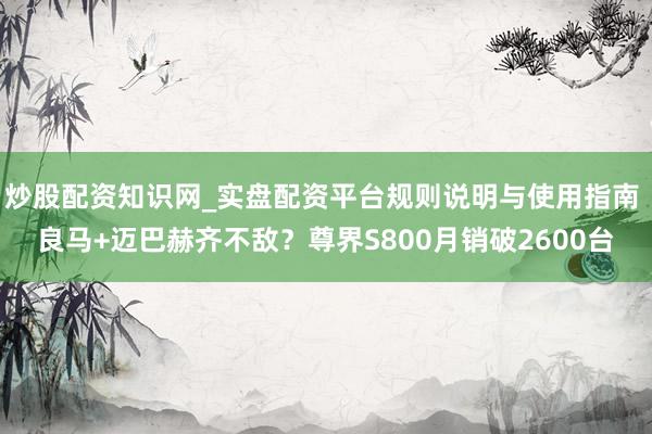 炒股配资知识网_实盘配资平台规则说明与使用指南 良马+迈巴赫齐不敌？尊界S800月销破2600台