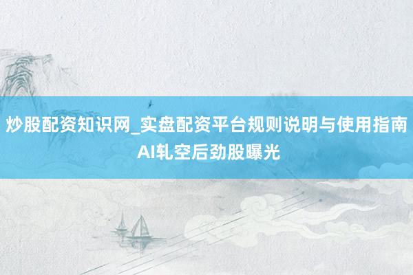 炒股配资知识网_实盘配资平台规则说明与使用指南 AI轧空后劲股曝光