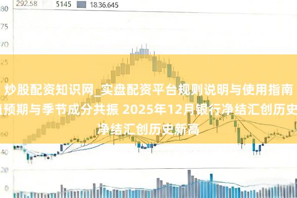 炒股配资知识网_实盘配资平台规则说明与使用指南 增值预期与季节成分共振 2025年12月银行净结汇创历史新高