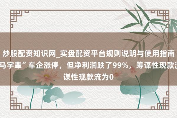 炒股配资知识网_实盘配资平台规则说明与使用指南 一“马字辈”车企涨停，但净利润跌了99%，筹谋性现款流为0