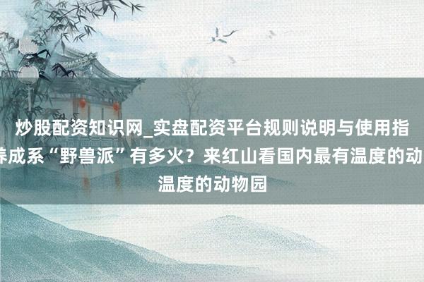 炒股配资知识网_实盘配资平台规则说明与使用指南 养成系“野兽派”有多火？来红山看国内最有温度的动物园