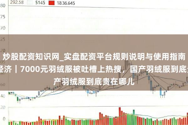 炒股配资知识网_实盘配资平台规则说明与使用指南 冬日暖经济｜7000元羽绒服被吐槽上热搜，国产羽绒服到底贵在哪儿