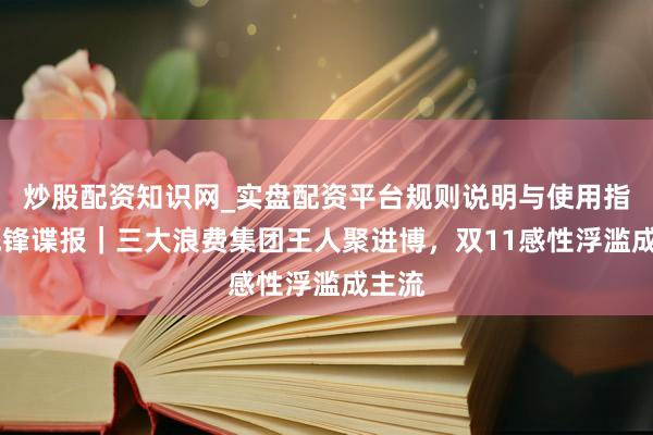炒股配资知识网_实盘配资平台规则说明与使用指南 先锋谍报｜三大浪费集团王人聚进博，双11感性浮滥成主流