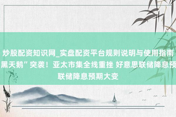炒股配资知识网_实盘配资平台规则说明与使用指南 两只“黑天鹅”突袭！亚太市集全线重挫 好意思联储降息预期大变