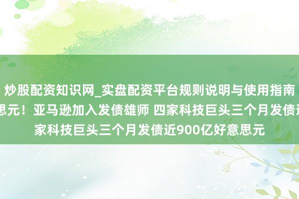 炒股配资知识网_实盘配资平台规则说明与使用指南 筹资150亿好意思元！亚马逊加入发债雄师 四家科技巨头三个月发债近900亿好意思元