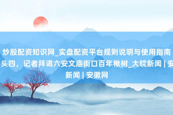 炒股配资知识网_实盘配资平台规则说明与使用指南 大年头四，记者拜谒六安文庙街口百年楸树_大皖新闻 | 安徽网