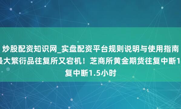炒股配资知识网_实盘配资平台规则说明与使用指南 各人最大繁衍品往复所又宕机！芝商所黄金期货往复中断1.5小时