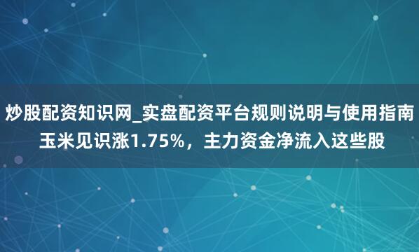 炒股配资知识网_实盘配资平台规则说明与使用指南 玉米见识涨1.75%，主力资金净流入这些股