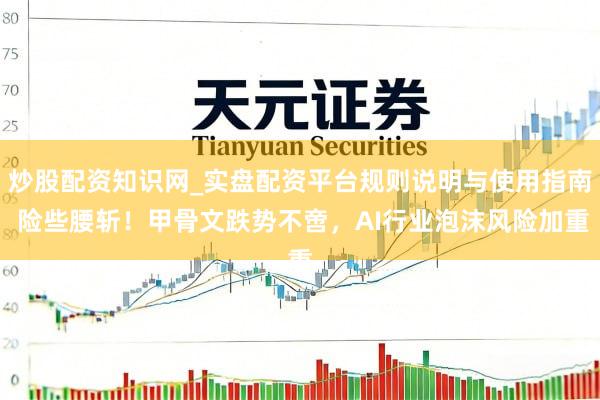 炒股配资知识网_实盘配资平台规则说明与使用指南 险些腰斩！甲骨文跌势不啻，AI行业泡沫风险加重