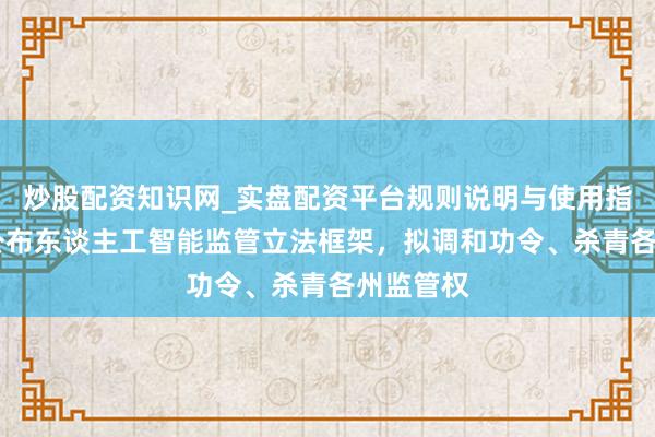 炒股配资知识网_实盘配资平台规则说明与使用指南 白宫公布东谈主工智能监管立法框架，拟调和功令、杀青各州监管权