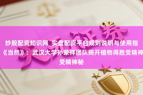 炒股配资知识网_实盘配资平台规则说明与使用指南 《当然》：武汉大学孙蒙祥团队揭开植物得胜受精神秘