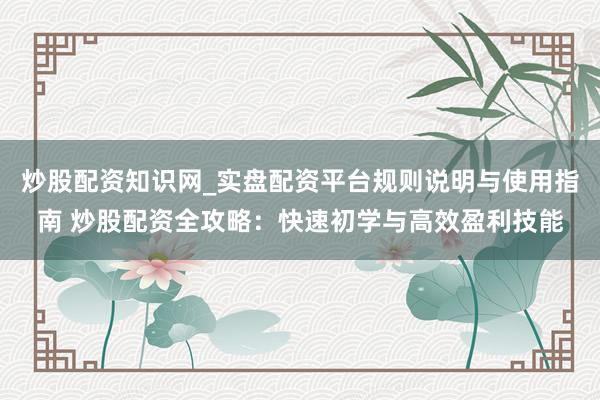 炒股配资知识网_实盘配资平台规则说明与使用指南 炒股配资全攻略：快速初学与高效盈利技能