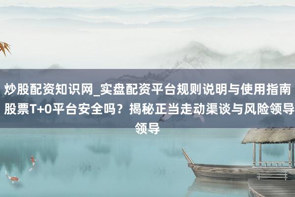 炒股配资知识网_实盘配资平台规则说明与使用指南 股票T+0平台安全吗？揭秘正当走动渠谈与风险领导