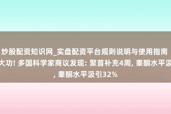 炒股配资知识网_实盘配资平台规则说明与使用指南 桑葚立大功! 多国科学家商议发现: 聚首补充4周, 睾酮水平汲引32%