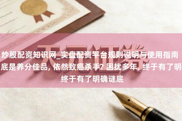 炒股配资知识网_实盘配资平台规则说明与使用指南 腐乳到底是养分佳品, 依然致癌杀手? 困扰多年, 终于有了明确谜底