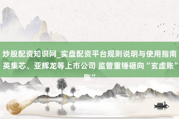炒股配资知识网_实盘配资平台规则说明与使用指南 英集芯、亚辉龙等上市公司 监管重锤砸向“玄虚账”