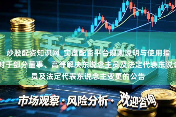 炒股配资知识网_实盘配资平台规则说明与使用指南 大中矿业：对于部分董事、高等解决东说念主员及法定代表东说念主变更的公告