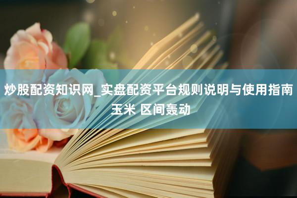 炒股配资知识网_实盘配资平台规则说明与使用指南 玉米 区间轰动