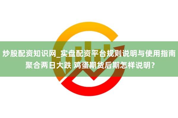 炒股配资知识网_实盘配资平台规则说明与使用指南 聚合两日大跌 鸡蛋期货后期怎样说明？