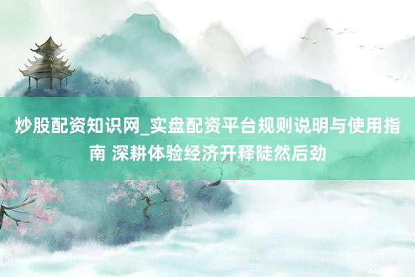 炒股配资知识网_实盘配资平台规则说明与使用指南 深耕体验经济开释陡然后劲