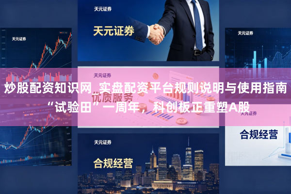 炒股配资知识网_实盘配资平台规则说明与使用指南 “试验田”一周年，科创板正重塑A股