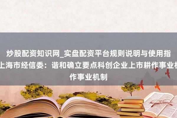 炒股配资知识网_实盘配资平台规则说明与使用指南 上海市经信委：谐和确立要点科创企业上市耕作事业机制