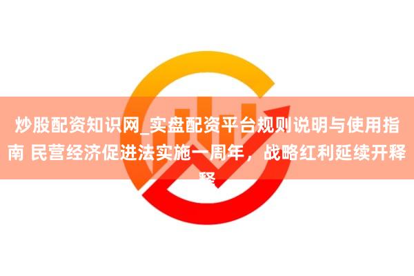 炒股配资知识网_实盘配资平台规则说明与使用指南 民营经济促进法实施一周年,战略红利延续开释